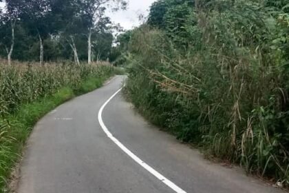 Kondisi semak dan rumput liar yang masih tumbuh tinggi di bahu Jalan Lintas Rao–Rokan Hulu, Kabupaten Pasaman, berpotensi mengganggu jarak pandang pengendara.